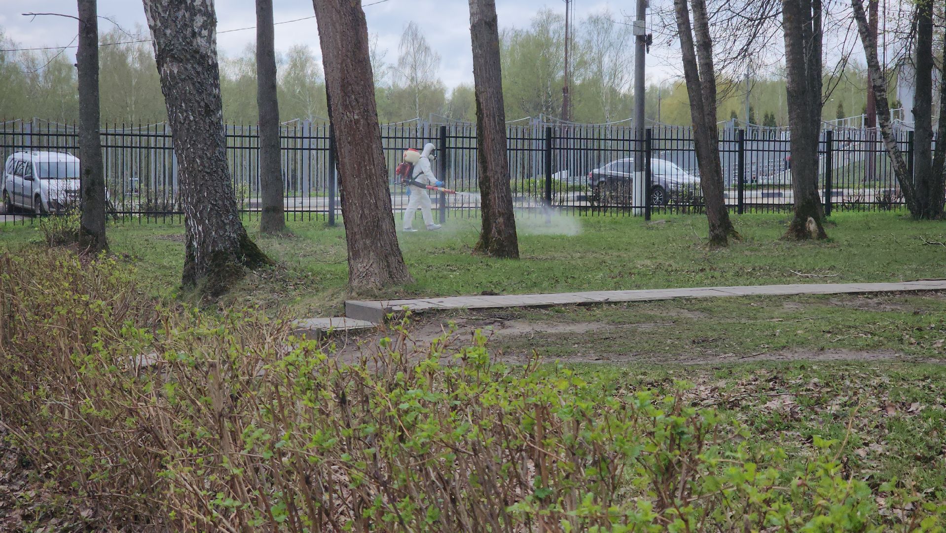 кашира, городской парк, акарицидная обработка, клещи, обработка от клещей, паразиты, профилактика заболеваний,