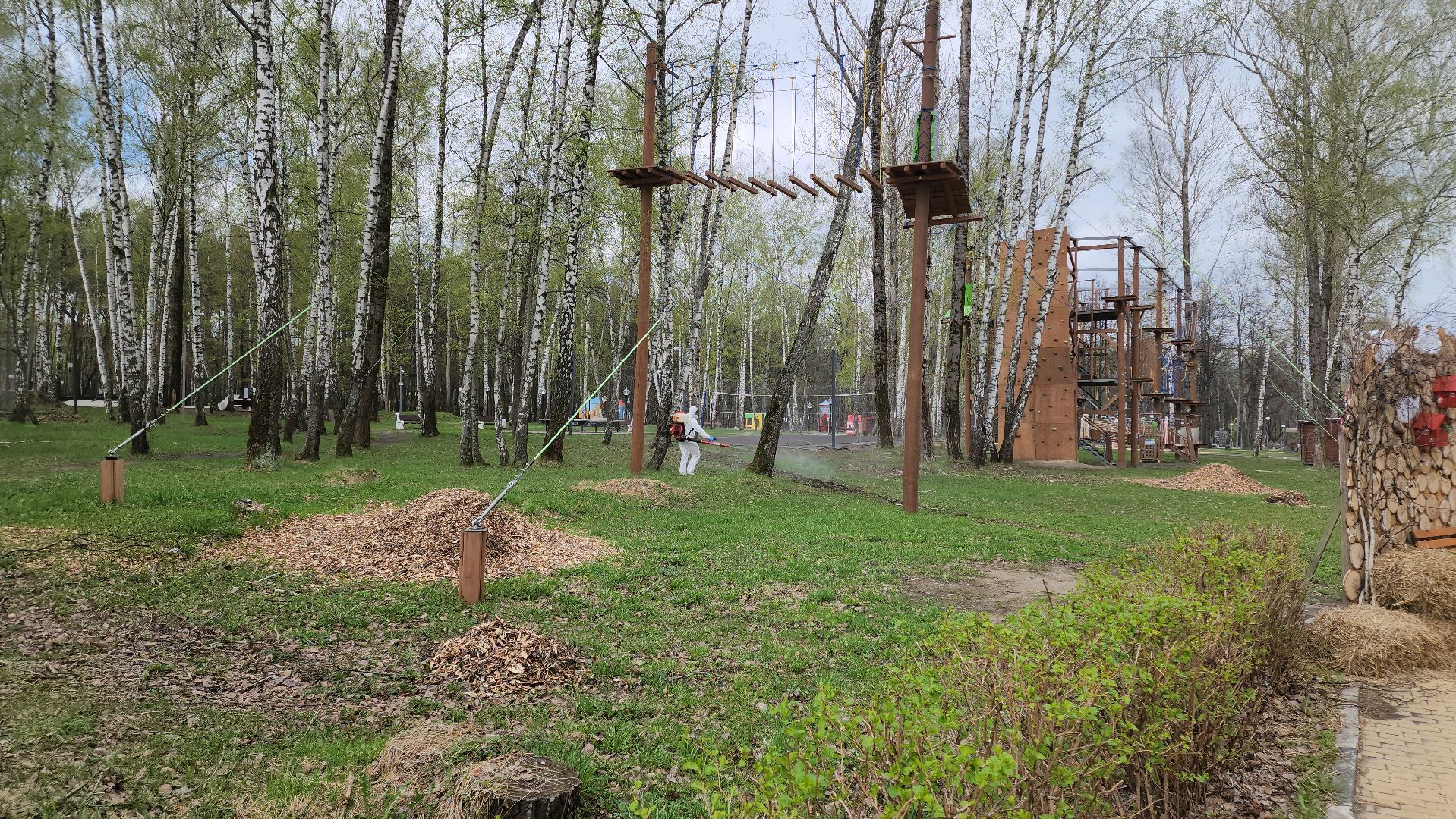 кашира, городской парк, акарицидная обработка, клещи, обработка от клещей, паразиты, профилактика заболеваний,