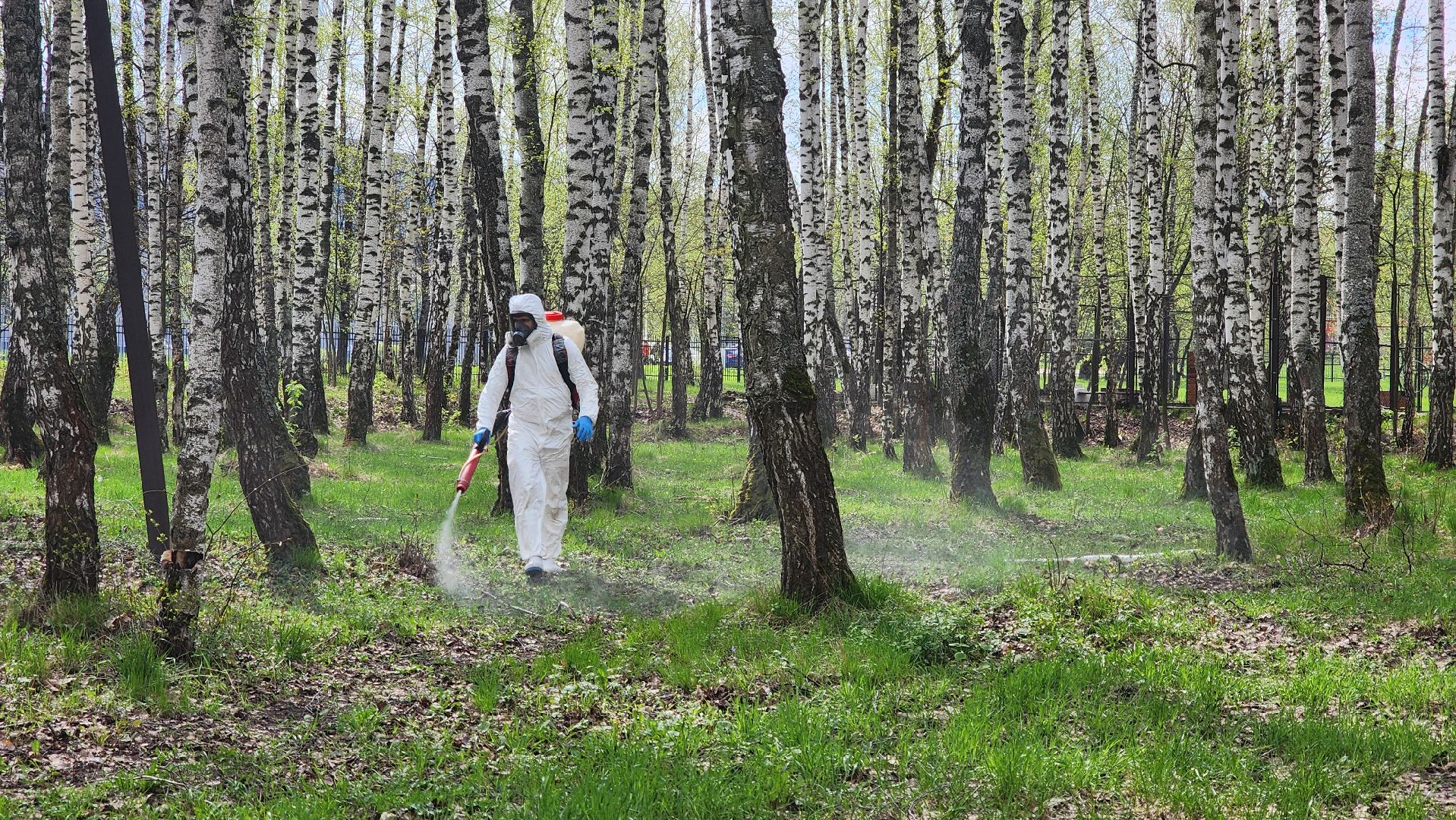 кашира, городской парк, акарицидная обработка, клещи, обработка от клещей, паразиты, профилактика заболеваний,