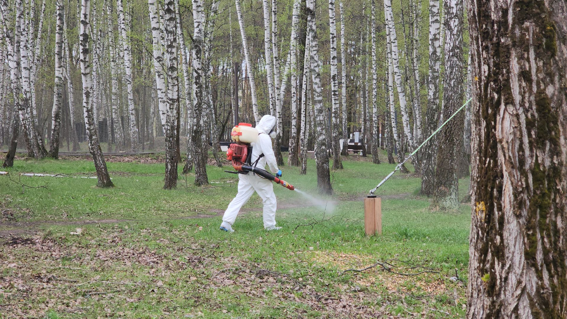 кашира, городской парк, акарицидная обработка, клещи, обработка от клещей, паразиты, профилактика заболеваний,