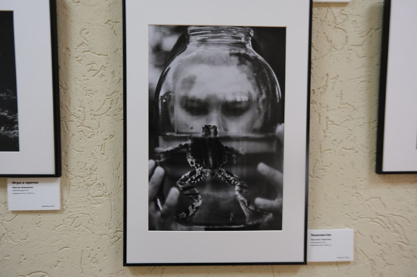 пущино, культура, выставка