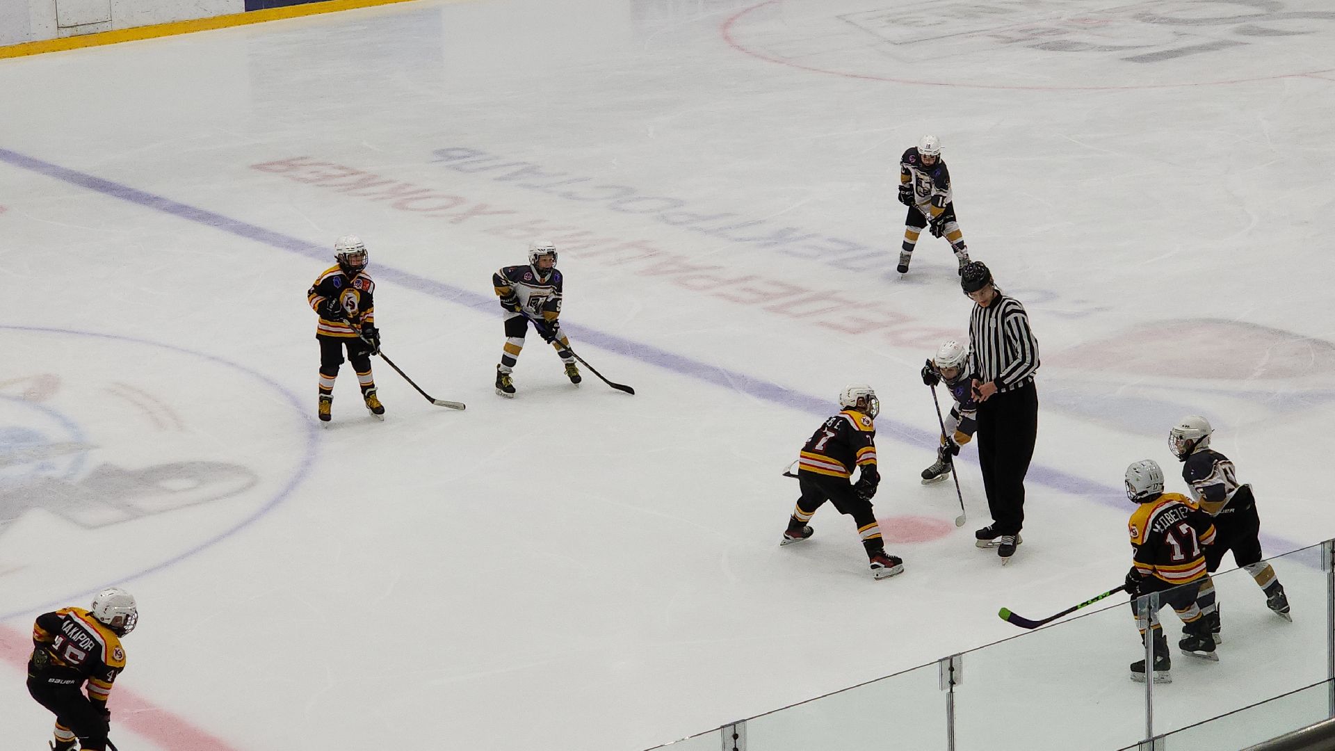 спорт, спорт в подмосковье, спорт московской области, хоккей, чемпионат по хоккею, электросталь, электросталь спортивная,