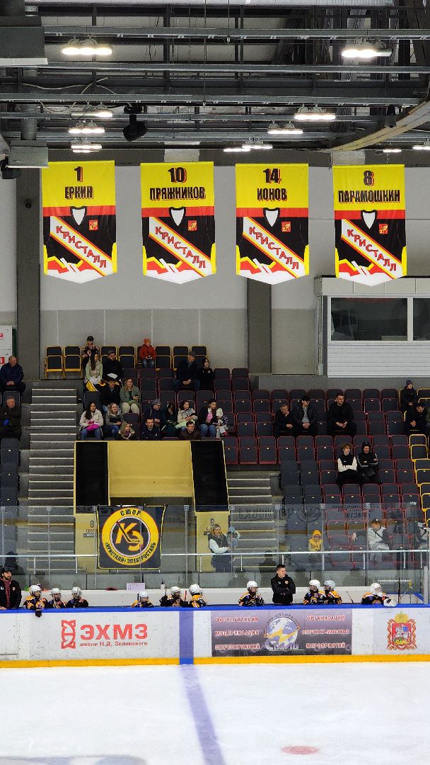 спорт, спорт в подмосковье, спорт московской области, хоккей, чемпионат по хоккею, электросталь, электросталь спортивная,