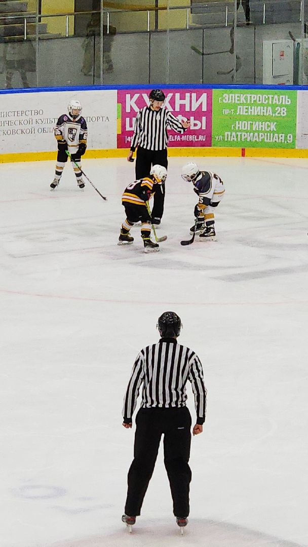 спорт, спорт в подмосковье, спорт московской области, хоккей, чемпионат по хоккею, электросталь, электросталь спортивная,