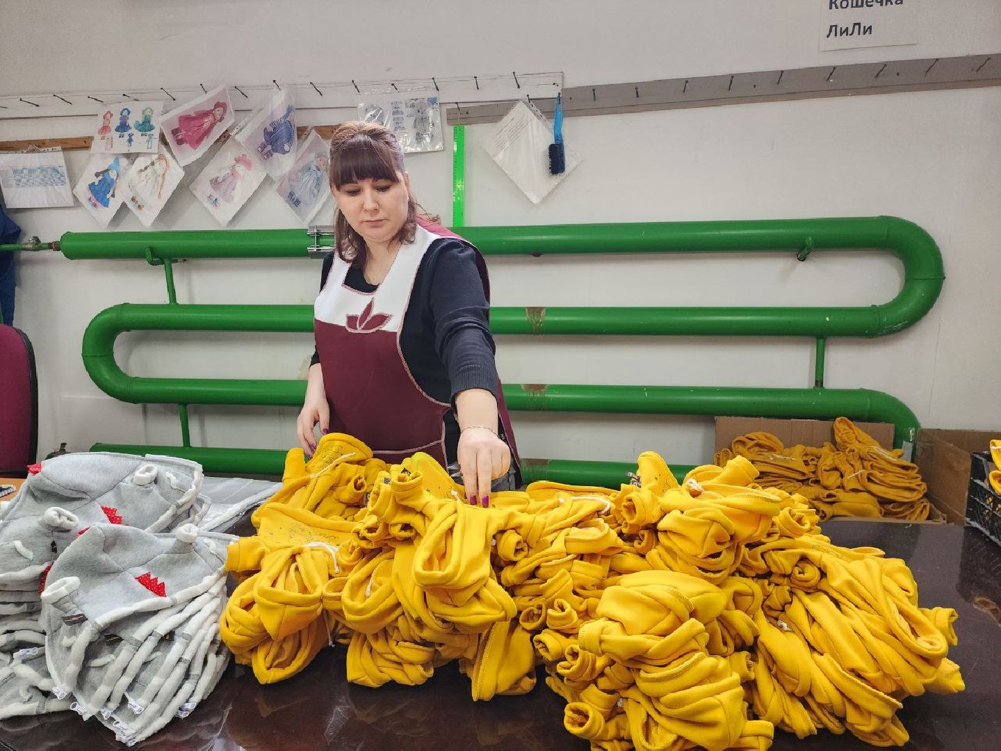 можайск, можайский городской округ, подмосковье, экономика, производство, знаменитые игрушки, коты, BudiBasa, рабочие места,