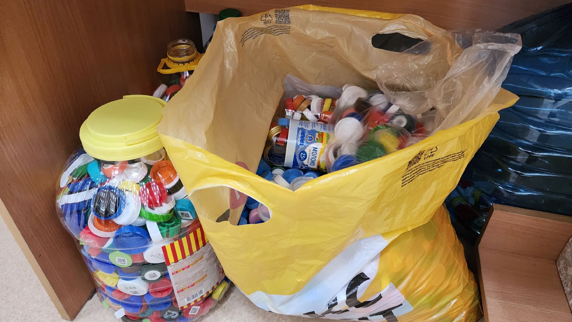 Экология, День Земли, Сортировка мусора, Пластик,