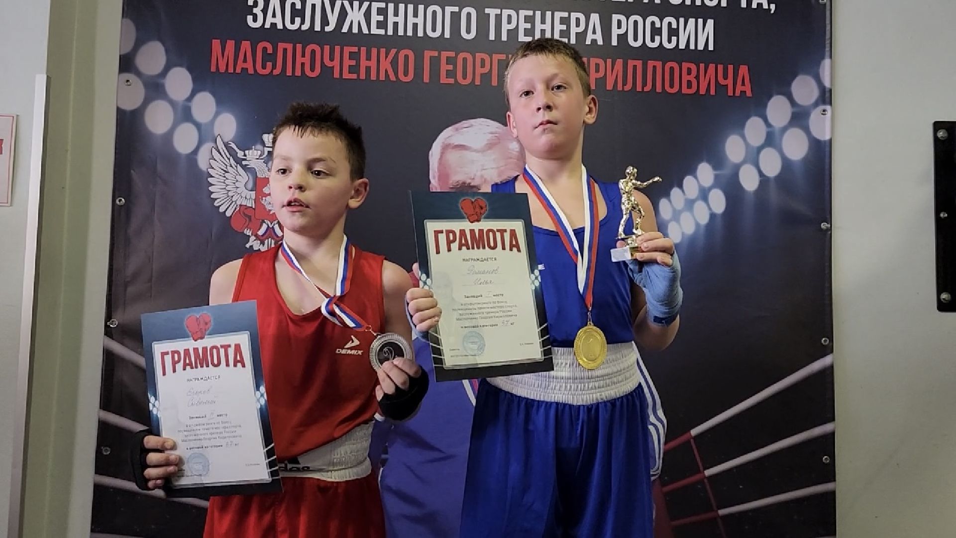 химки, спорт, бокс,