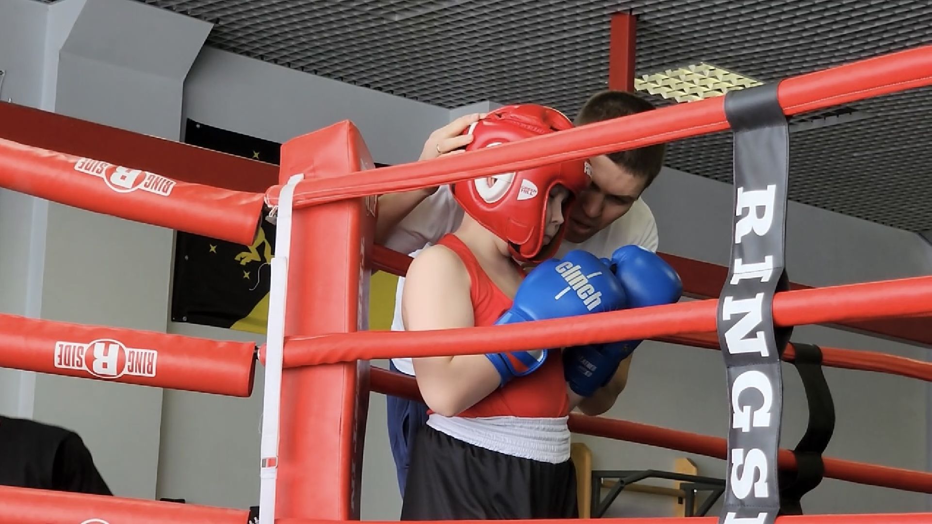 химки, спорт, бокс,