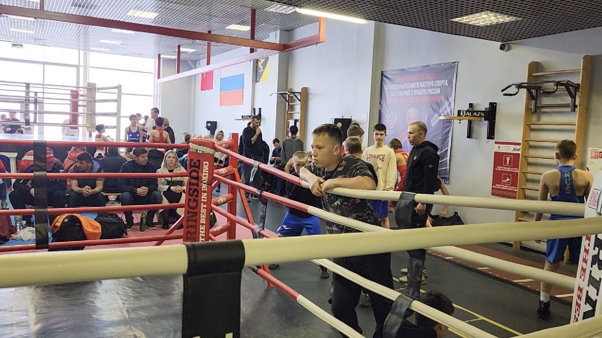 химки, спорт, бокс,
