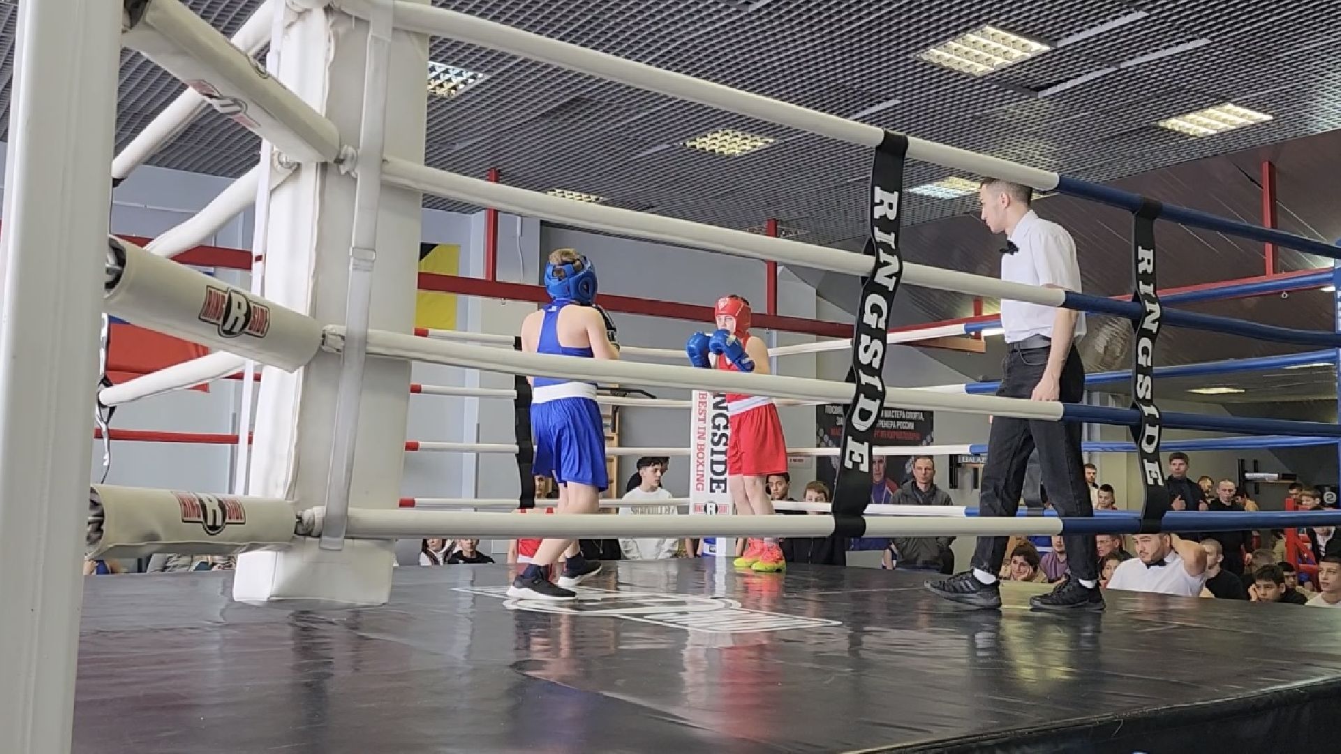 химки, спорт, бокс,