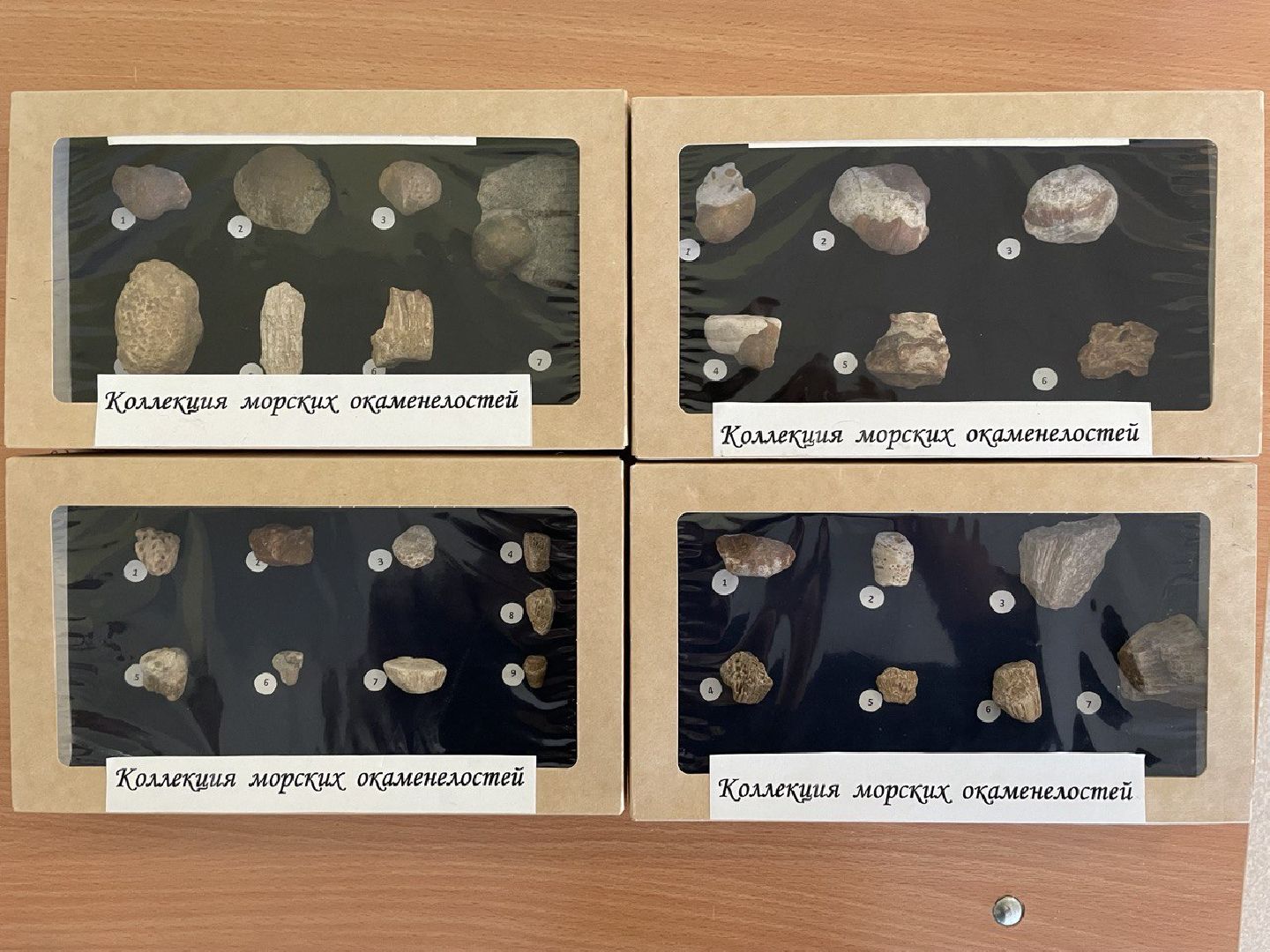 волоколамская Гимназия,образование подмосковья, конференция,