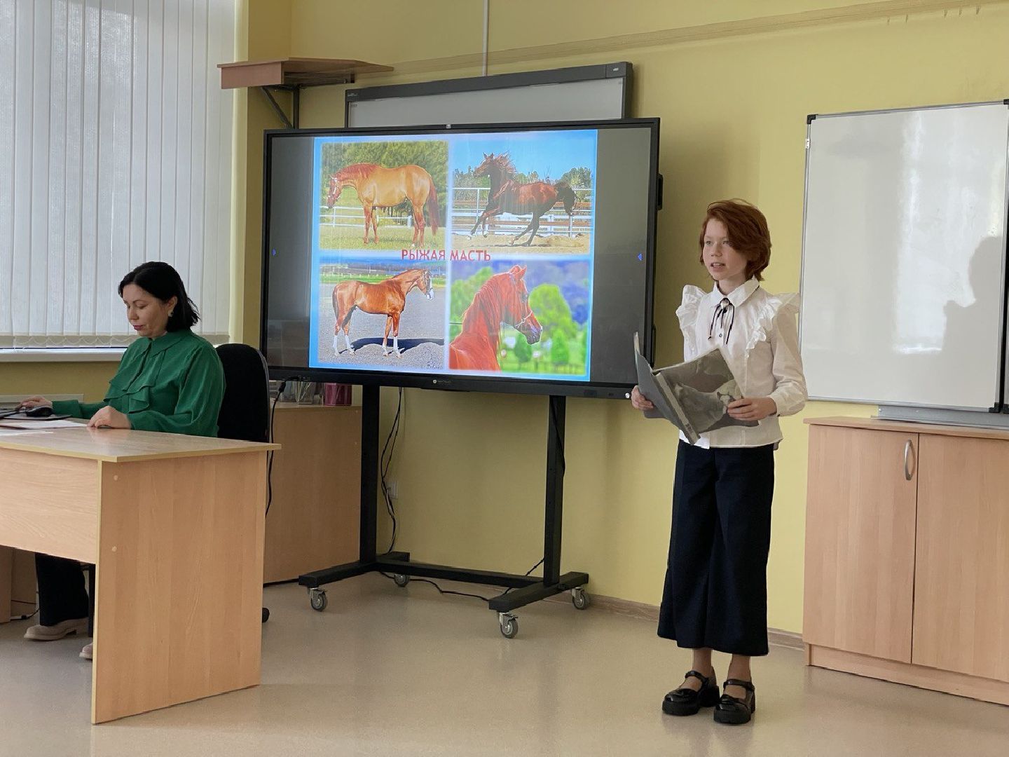 волоколамская Гимназия,образование подмосковья, конференция,