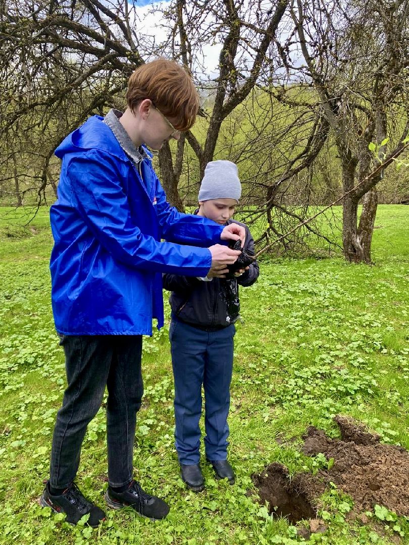 наро-фоминск, яблоневый сад, Клевое место, Субботник, Субботник юннатов, Посадка деревьев,