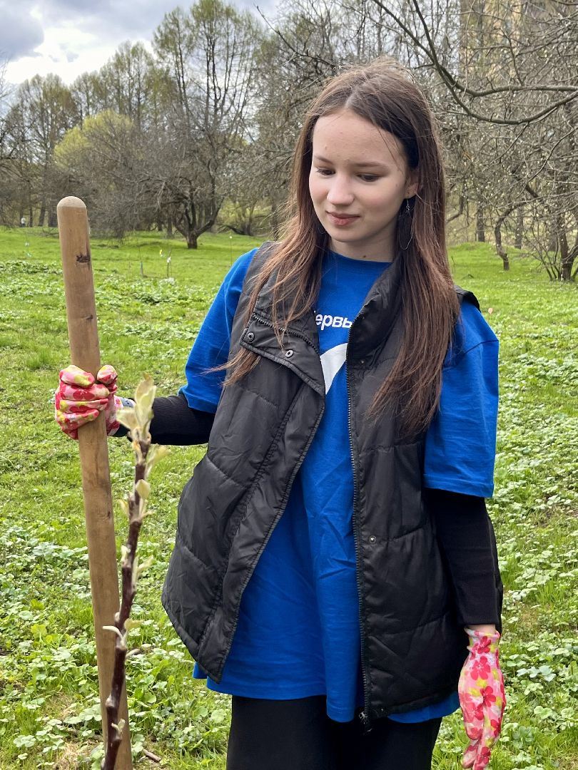 наро-фоминск, яблоневый сад, Клевое место, Субботник, Субботник юннатов, Посадка деревьев,