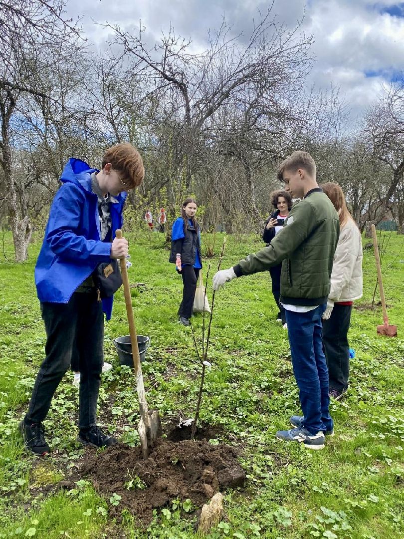 наро-фоминск, яблоневый сад, Клевое место, Субботник, Субботник юннатов, Посадка деревьев,