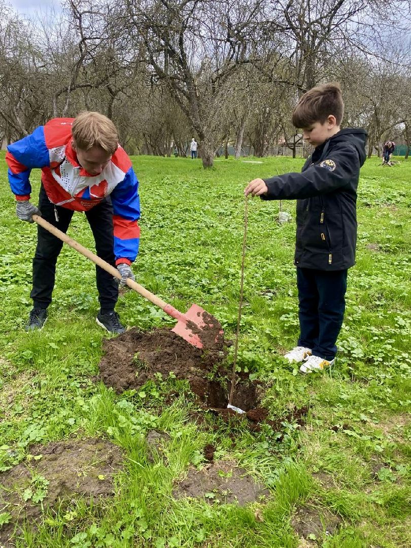 наро-фоминск, яблоневый сад, Клевое место, Субботник, Субботник юннатов, Посадка деревьев,