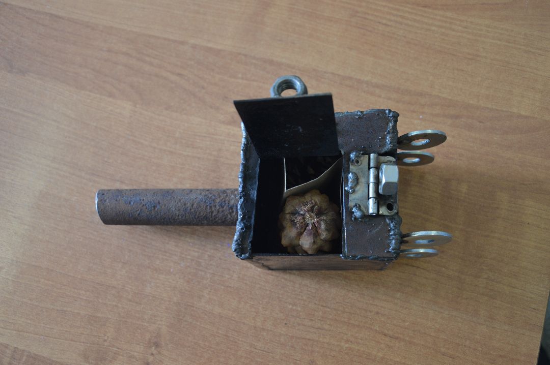 Шатура, Лицей, Большие Вызовы, Горбатов Василий, Ольга Митькина