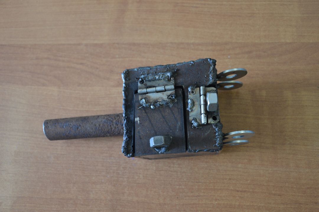 Шатура, Лицей, Большие Вызовы, Горбатов Василий, Ольга Митькина