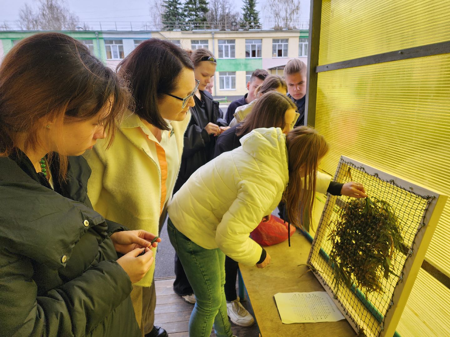 красноармейск, г.о. пушкинский, волонтерская рота, помощь военнослужащим,