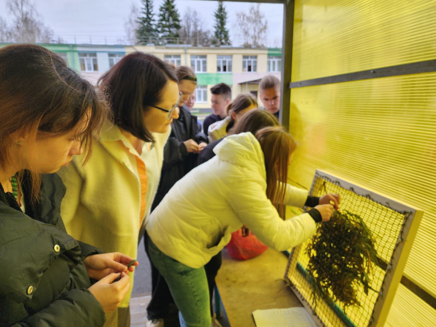 красноармейск, г.о. пушкинский, волонтерская рота, помощь военнослужащим,