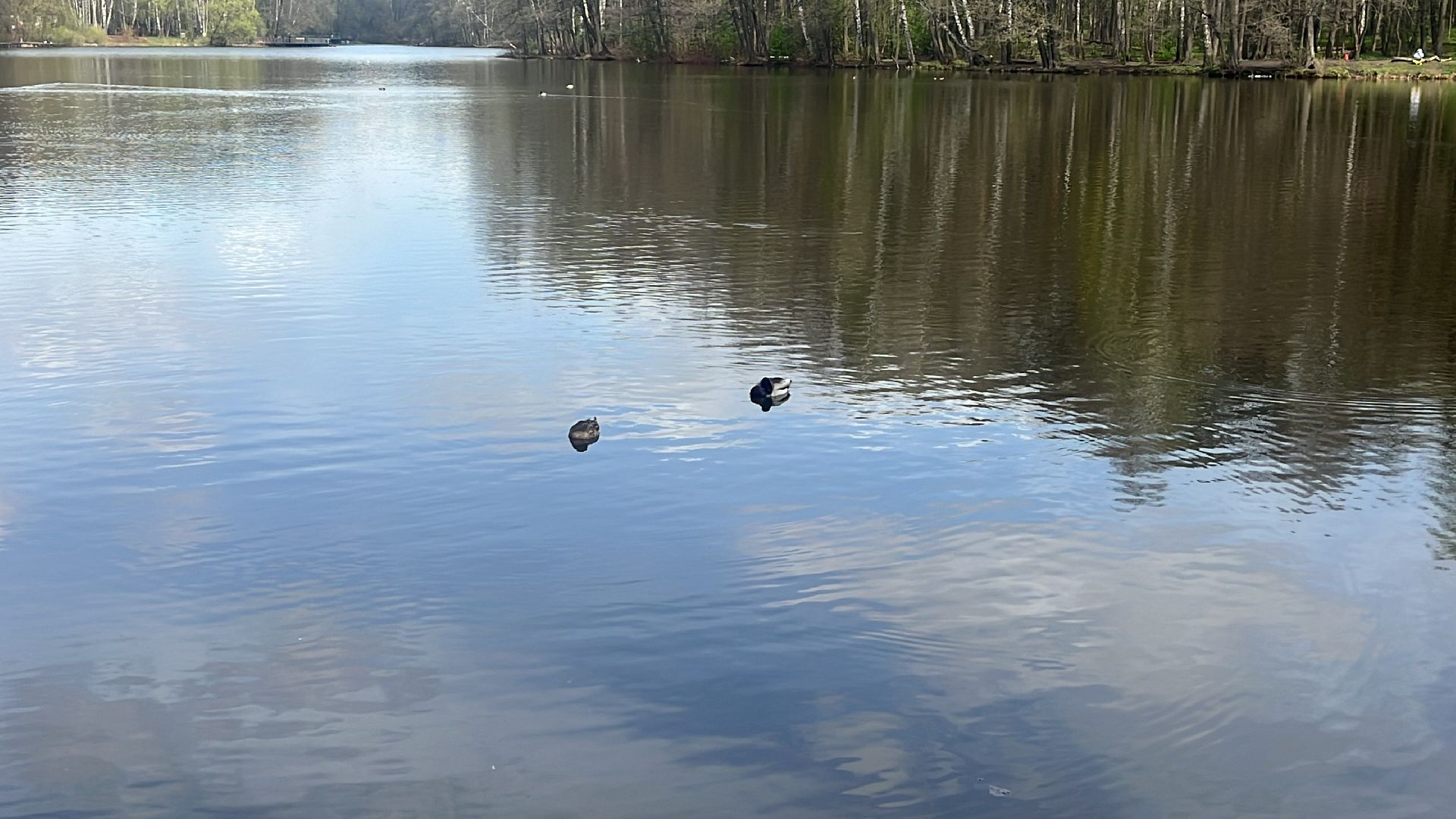 отдых, вода, отдых у воды, места отдыха, балашиха,