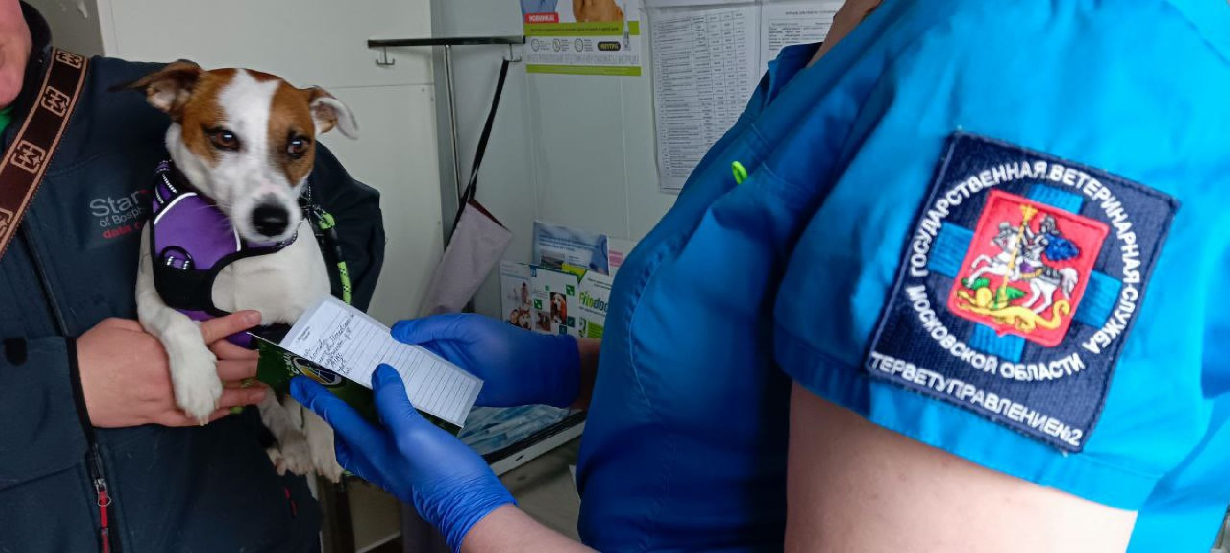 Дмитров, Государственная ветстанция,