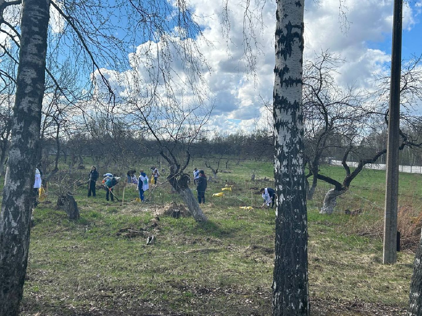 субботник, Госфильмофонд, Домодедово,