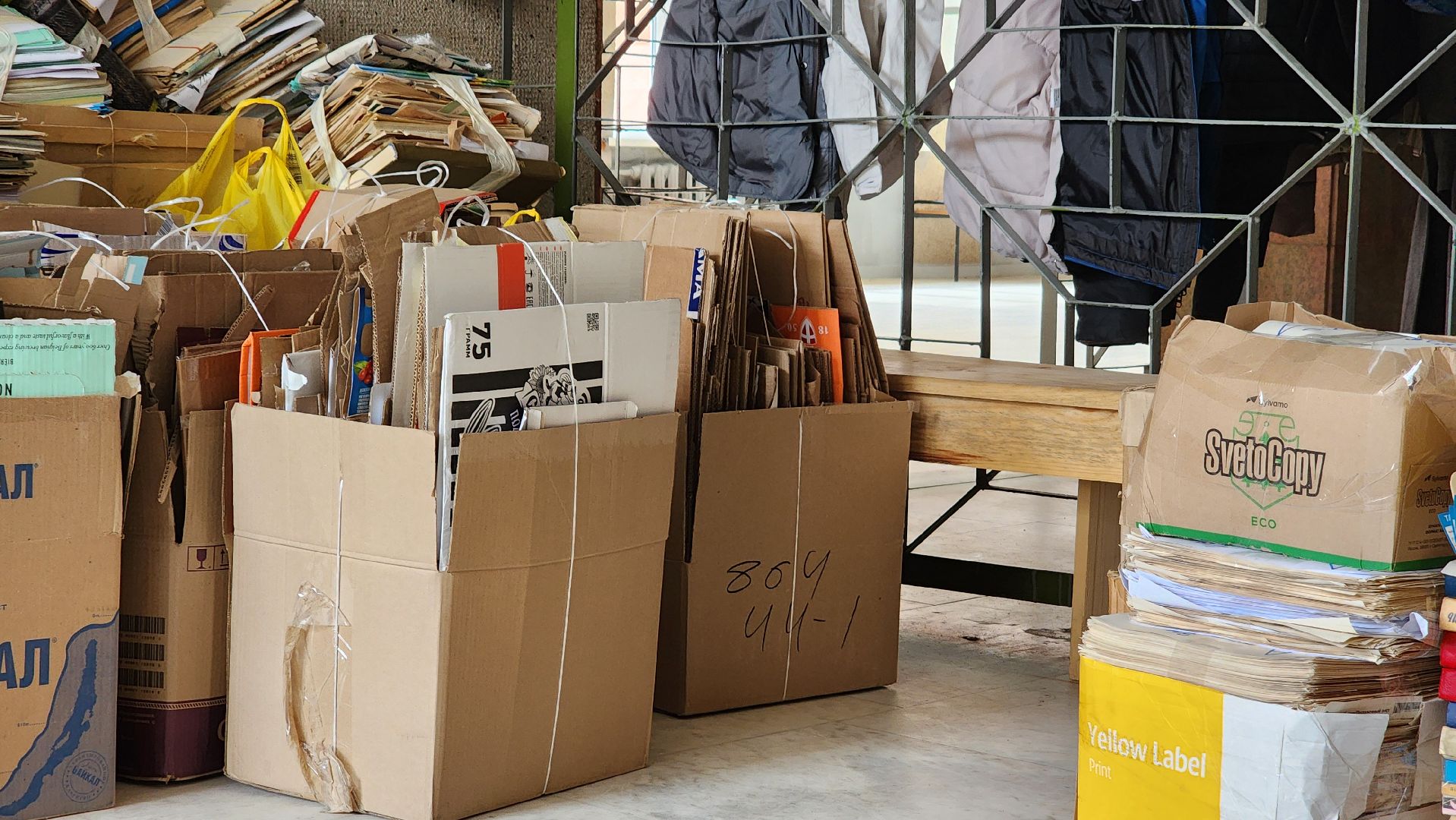 протвино, ДДД, школьное лесничество, зеленый дом, подготовка в ддд,