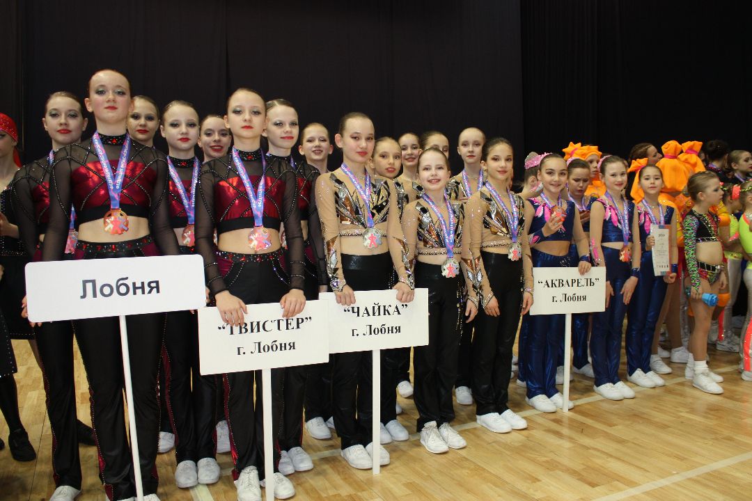 Лобня, спорт