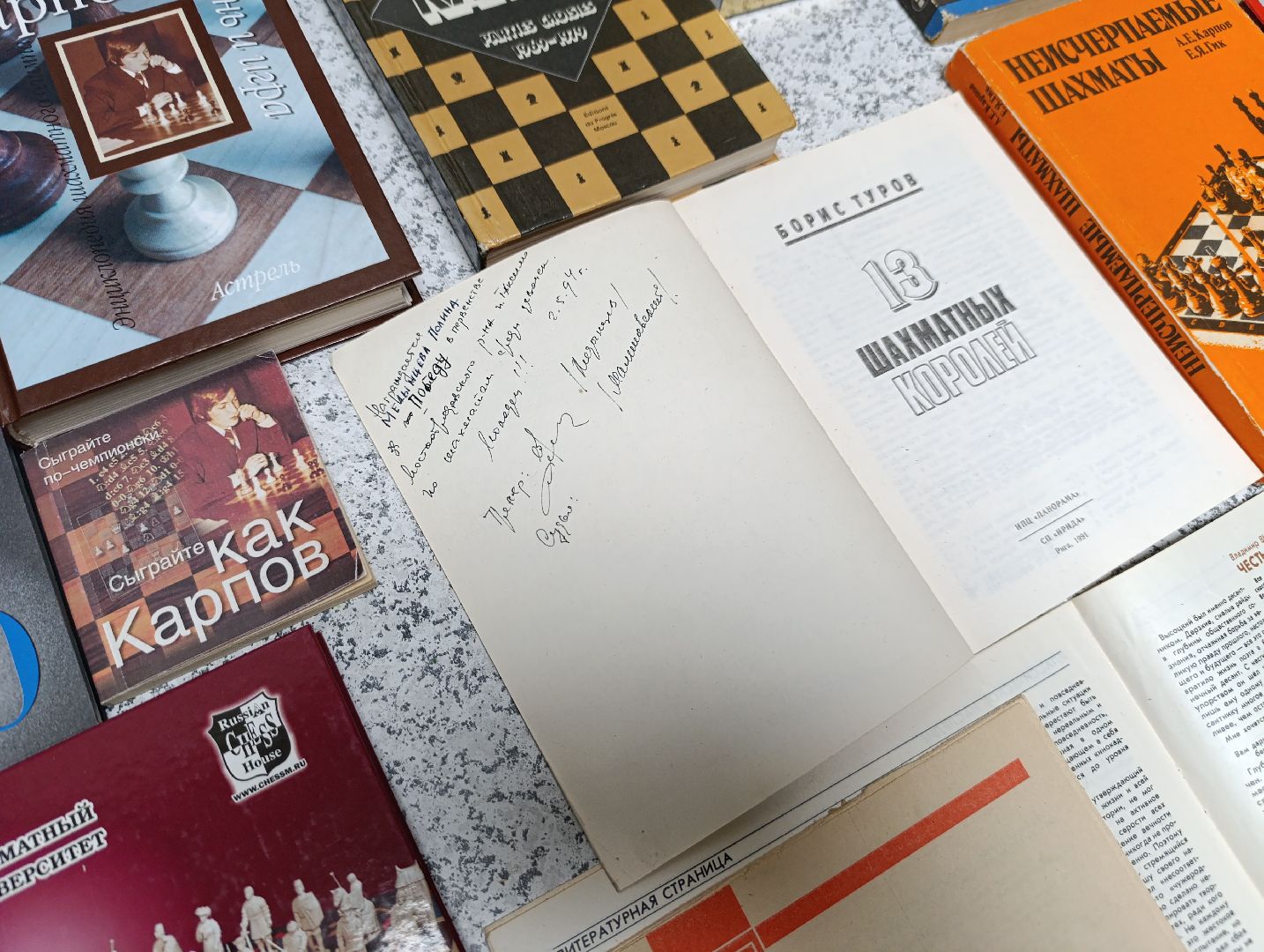 Бронницы, Коллекция шахмат, Частный коллекционер, Игра с Карповым,