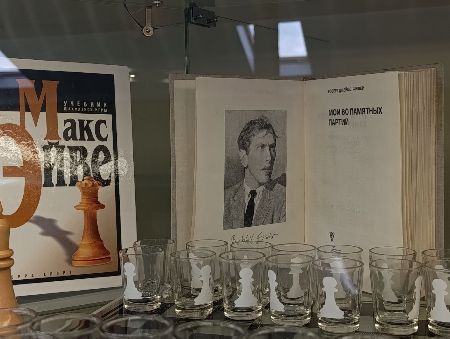 Бронницы, Коллекция шахмат, Частный коллекционер, Игра с Карповым,