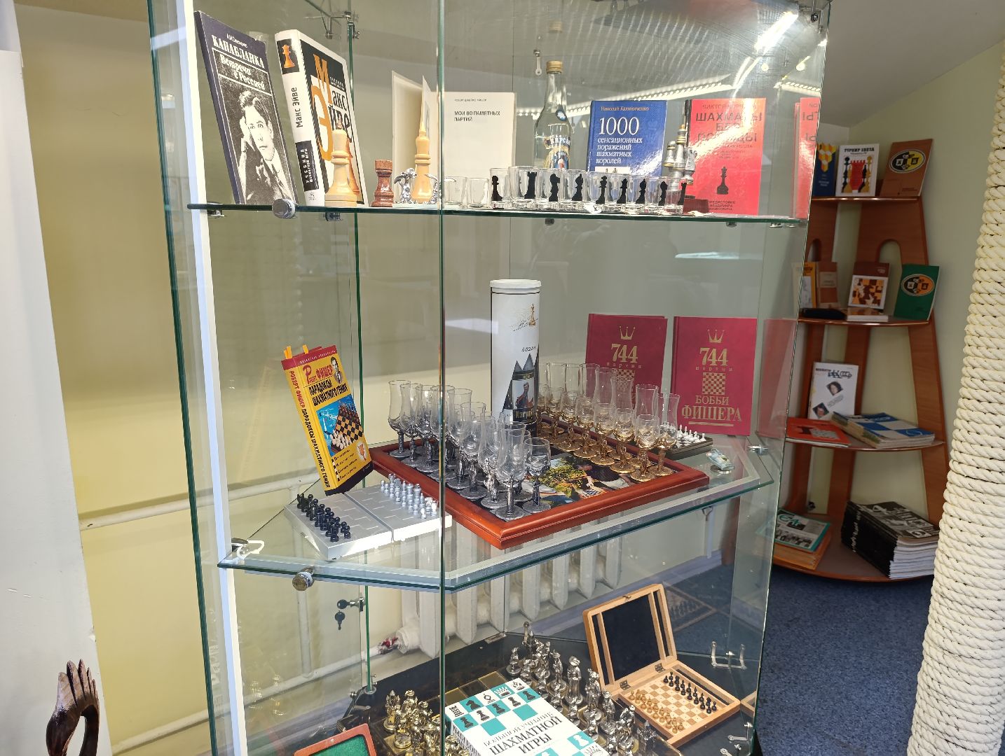 Бронницы, Коллекция шахмат, Частный коллекционер, Игра с Карповым,