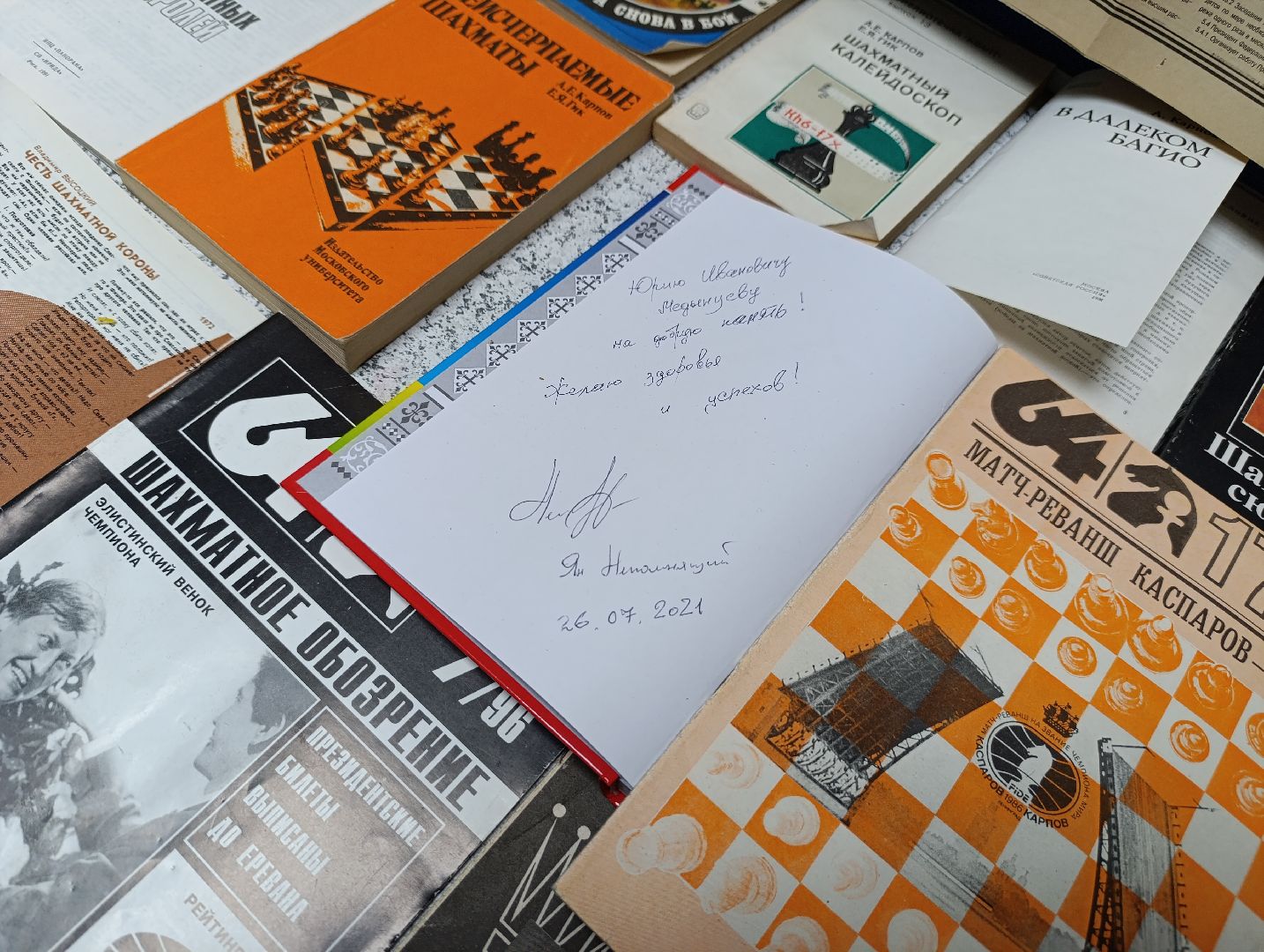 Бронницы, Коллекция шахмат, Частный коллекционер, Игра с Карповым,