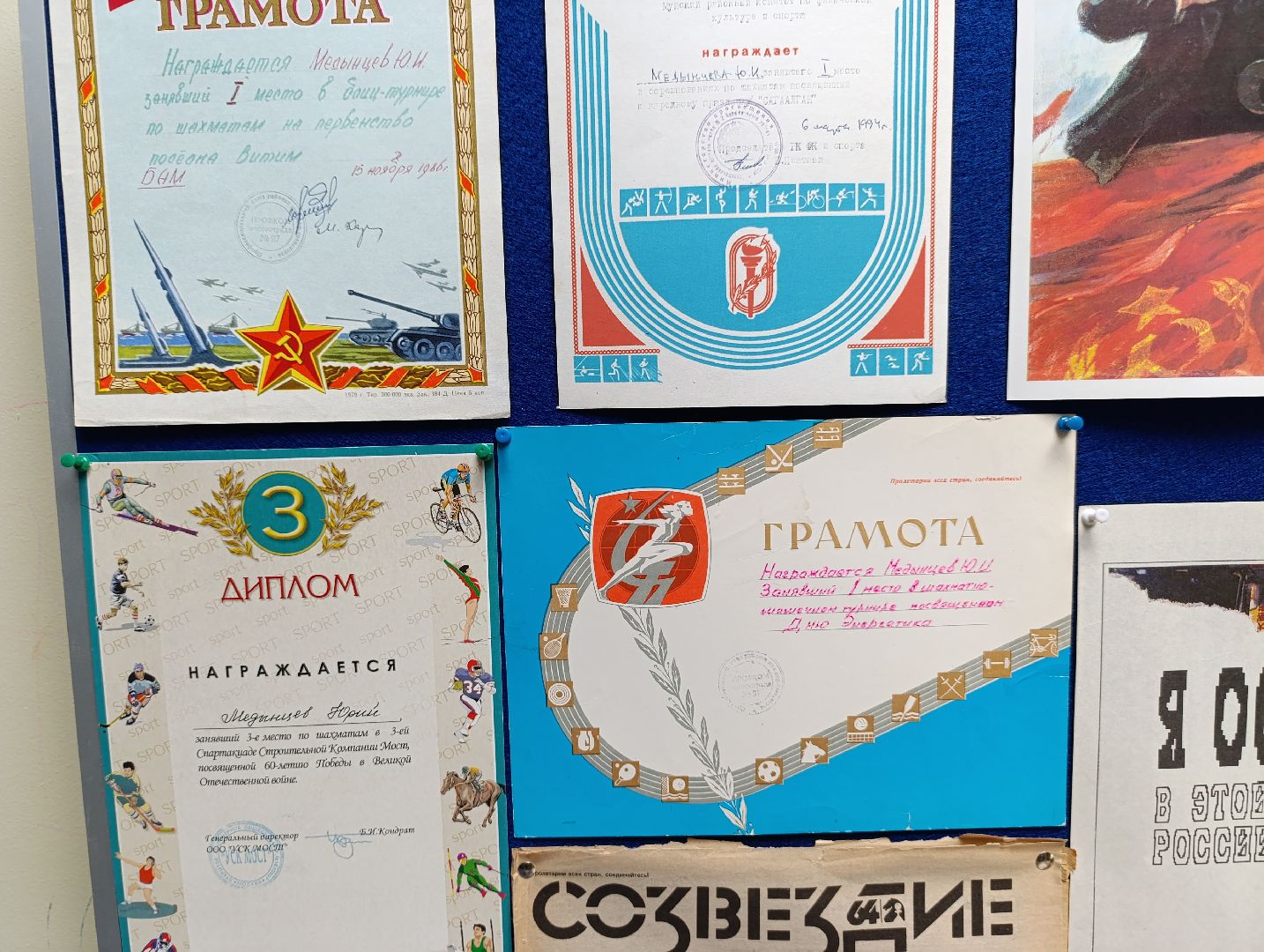 Бронницы, Коллекция шахмат, Частный коллекционер, Игра с Карповым,