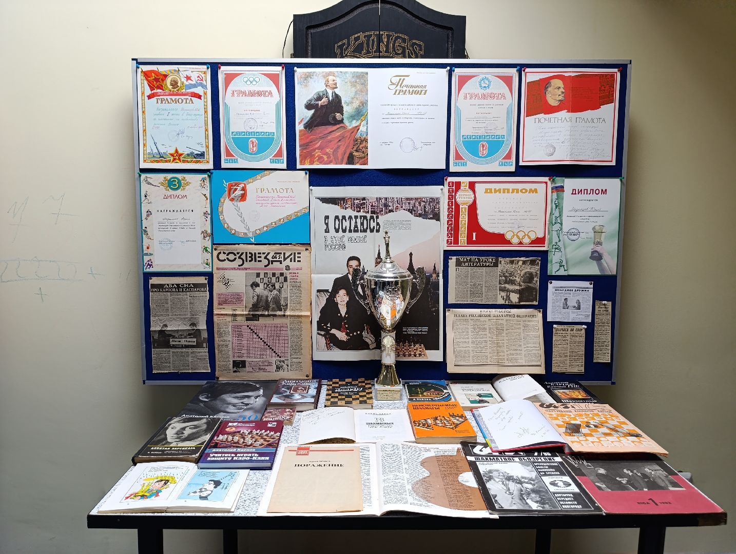 Бронницы, Коллекция шахмат, Частный коллекционер, Игра с Карповым,