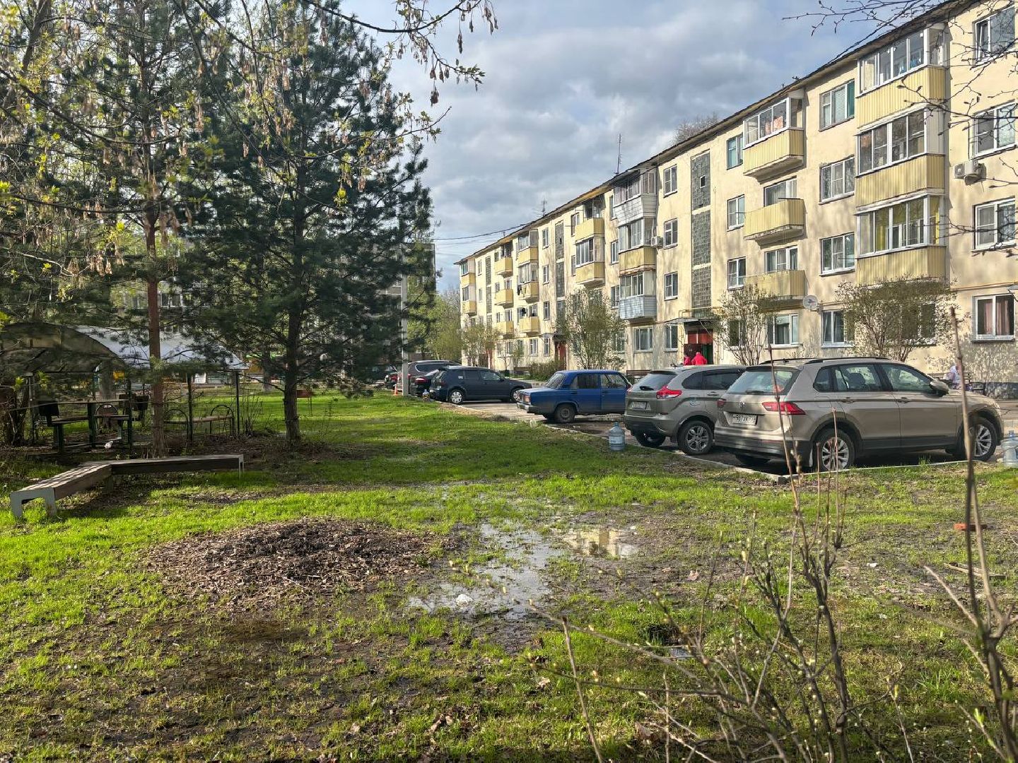 Растуново, яблоневый сад, Домодедово, выездная администрация,