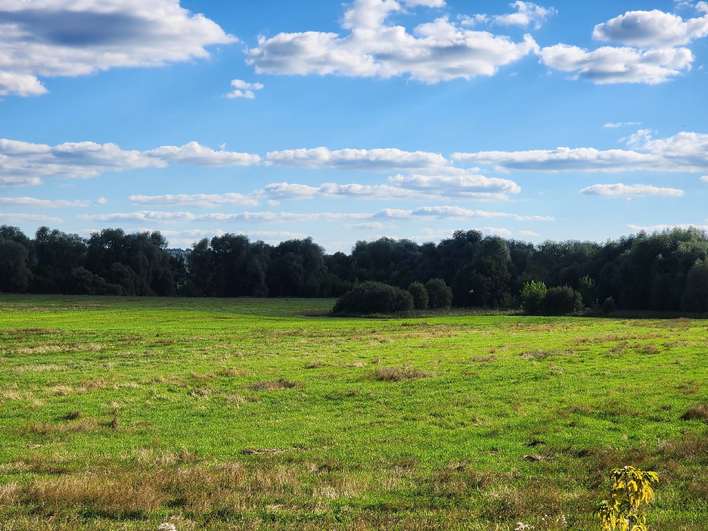 Звенигород, Выездная администрация,