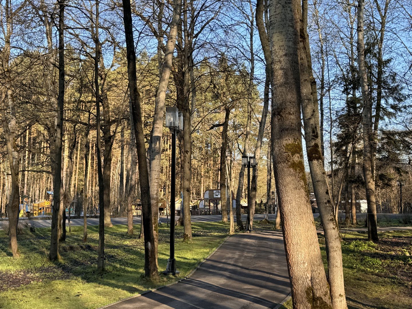 Одинцово, Клещи, обработка от клещей,