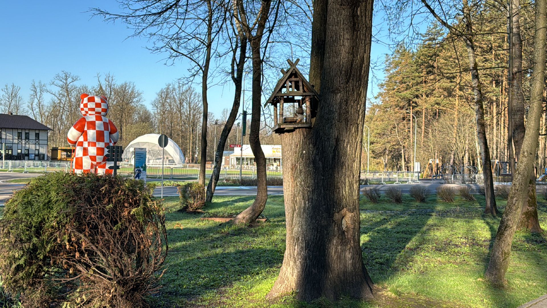 Одинцово, Клещи, обработка от клещей,