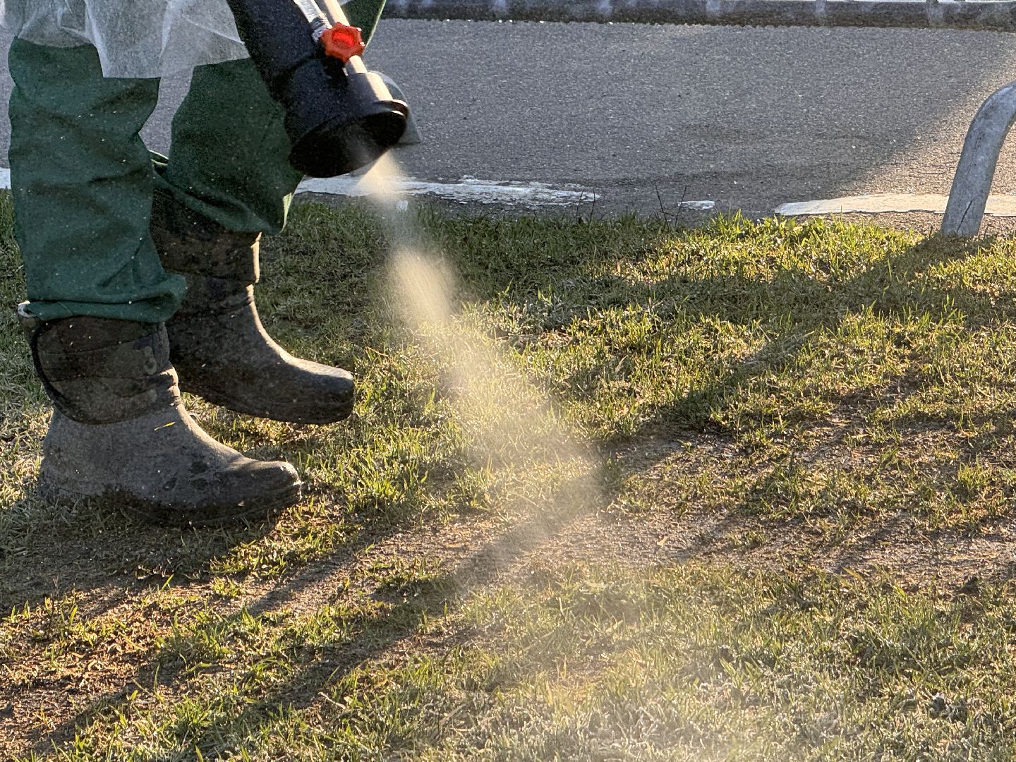 Одинцово, Клещи, обработка от клещей,