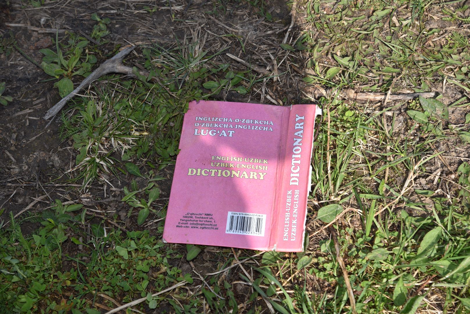 лотошино, лотошинская школа 1, взрыв, инцидент,