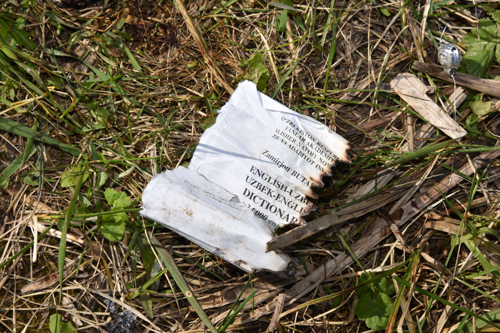 лотошино, лотошинская школа 1, взрыв, инцидент,