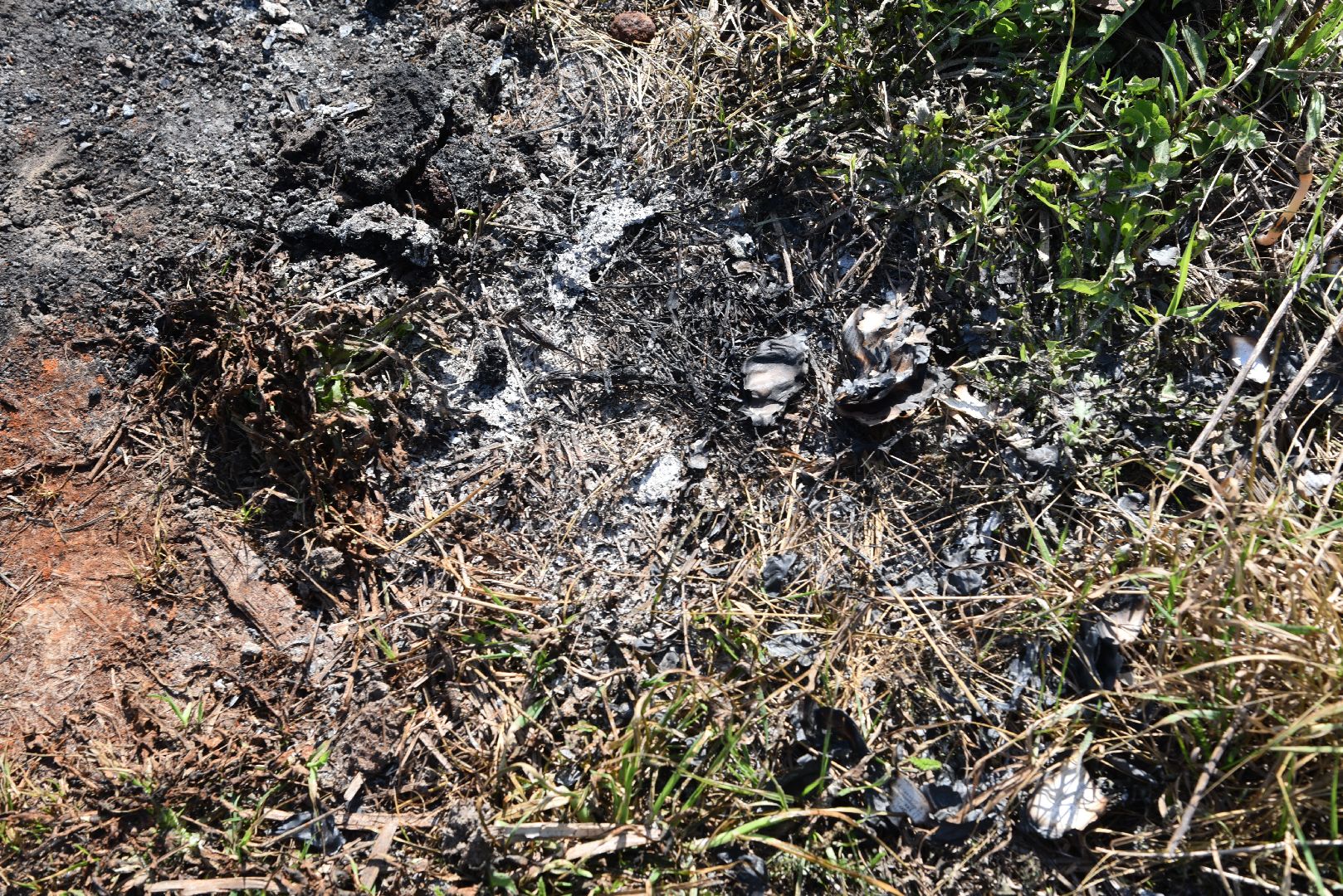 лотошино, лотошинская школа 1, взрыв, инцидент,