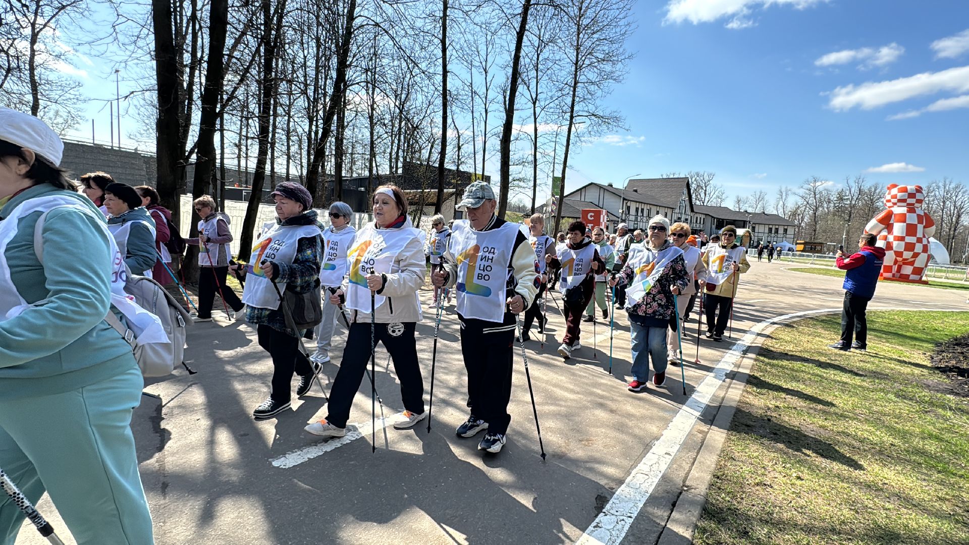 Одинцово, активное долголетие, подмгсковье,