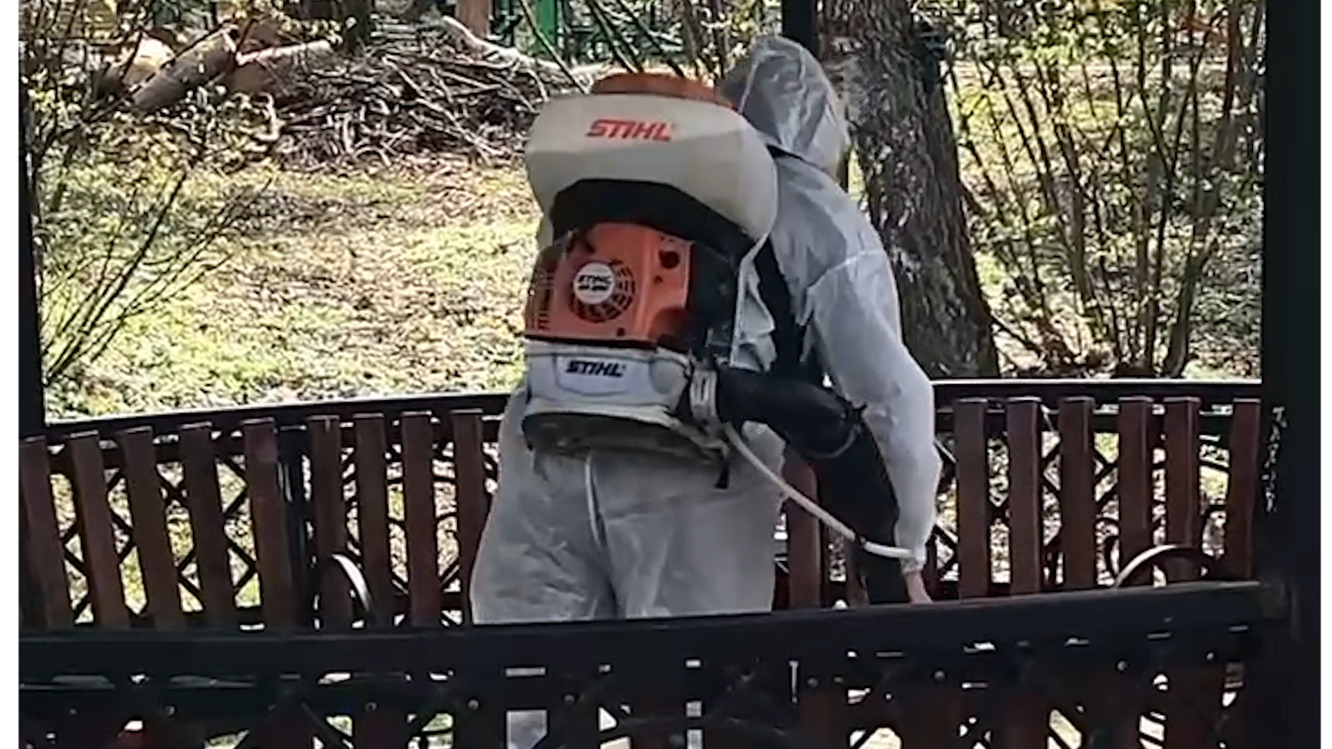 день добрых дел, власиха благоустройство, общегородской субботник, Сад победы, Лес победы,