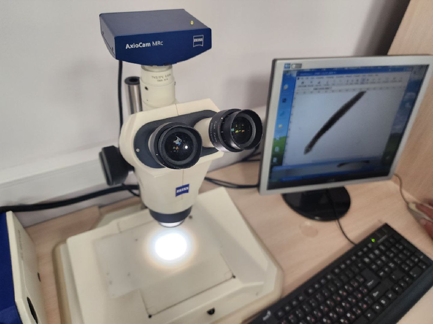 пущино, Серпухов, наука, исследования, биотех, биотехнологии,