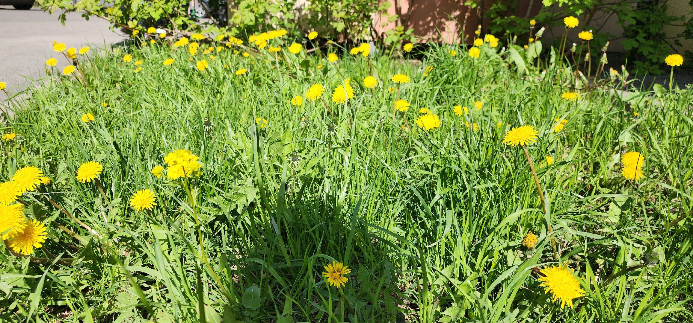 журналисты Домодедова, субботник, весенняя уборка улиц,