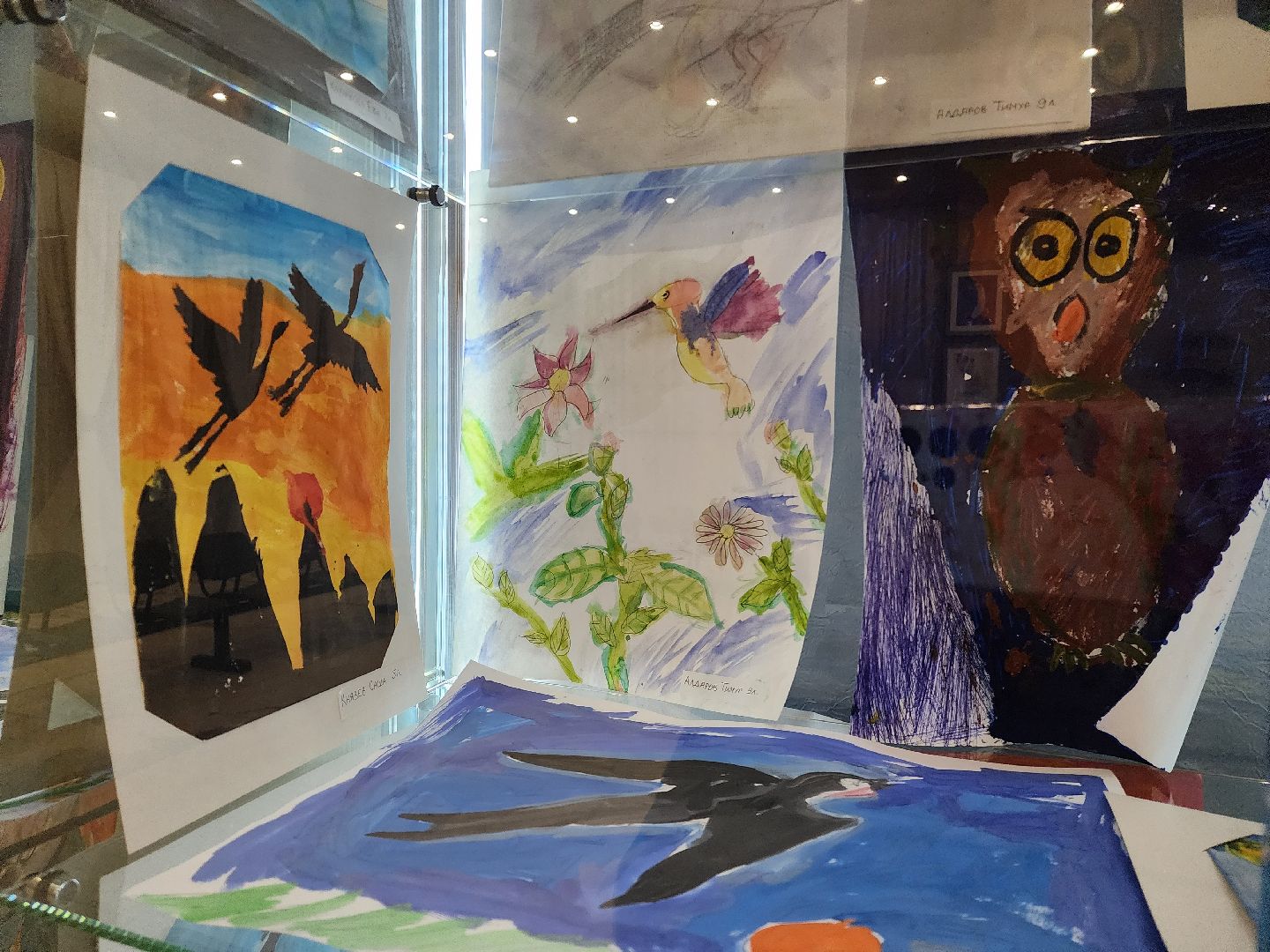 Детский рисунок, Птицы, Выставка, лобня,