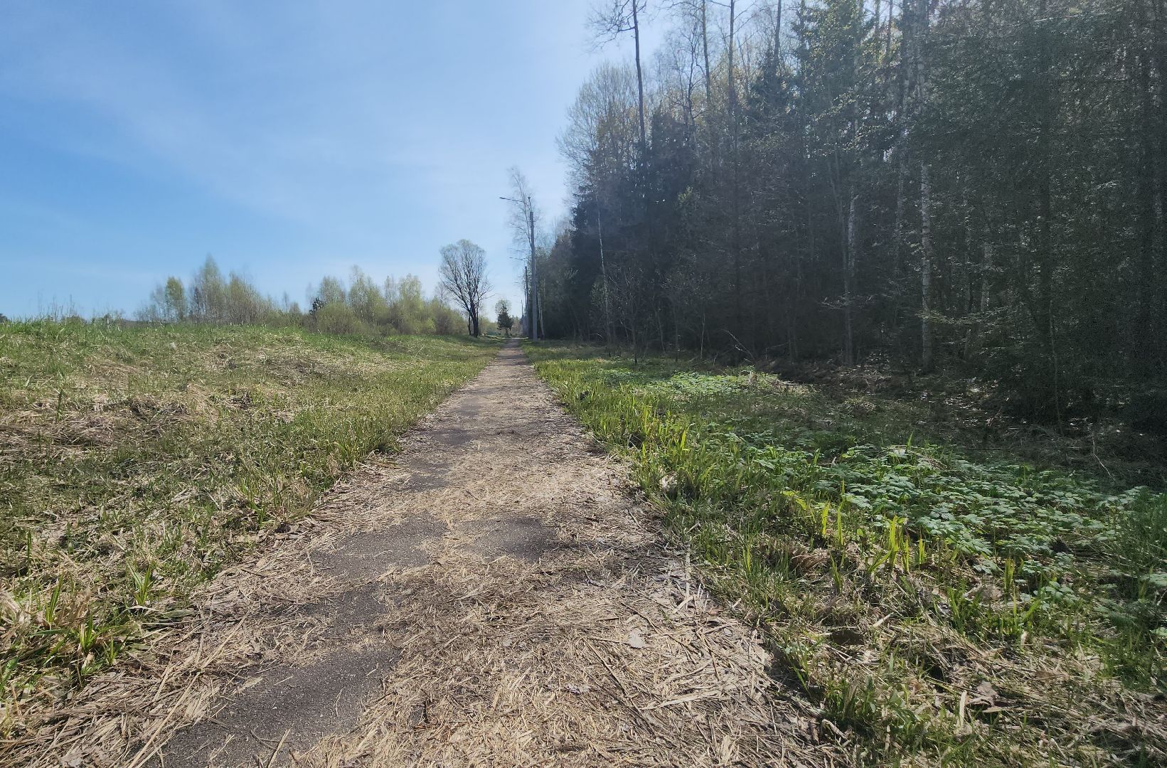 серпухов, оболенск, тротуар, жители, выездная администрация,