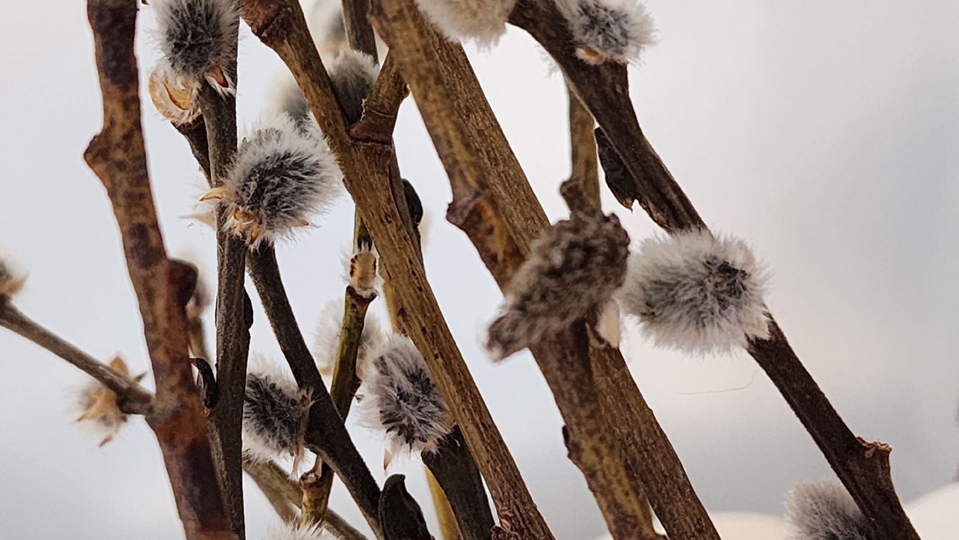 Солнечногорск, Пасха, КДЦ Тимоново, СВО, привет солдату,